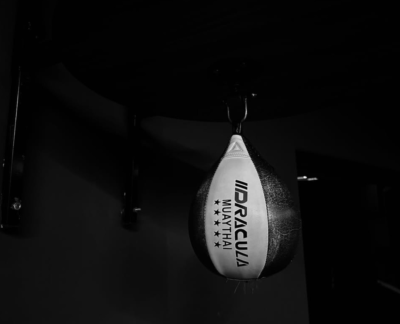 Training equipment at Urban Kinetics